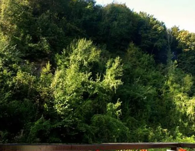 Warempel Hotel Valkenburg aan de Geul