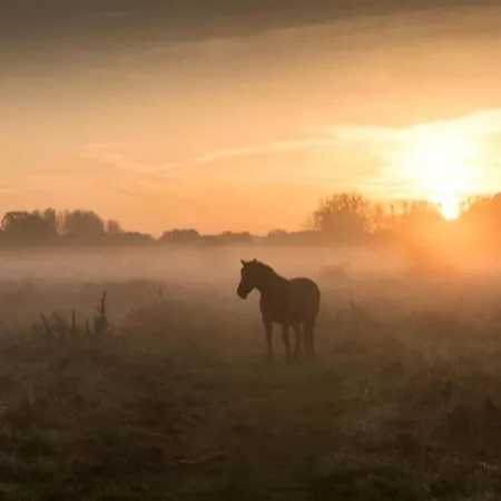 Warempel Ξενοδοχείο Valkenburg aan de Geul