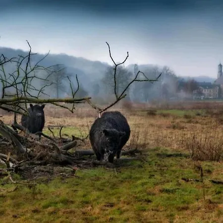 Warempel Ξενοδοχείο Valkenburg aan de Geul