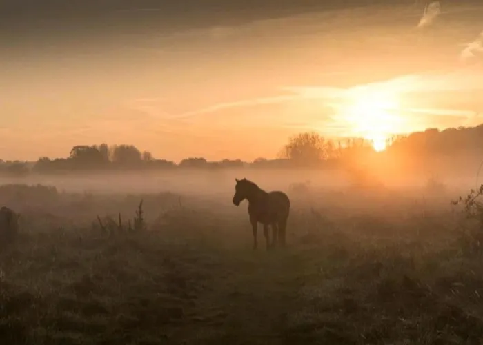 Warempel Szálloda Valkenburg aan de Geul