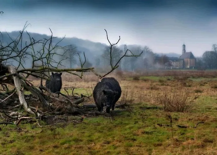 Warempel Szálloda Valkenburg aan de Geul